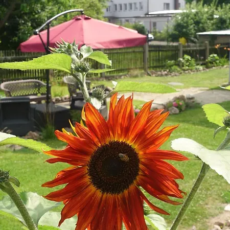 3br Orowo Group And Magic Garden Near Sopot 13p Apartamento Gdynia